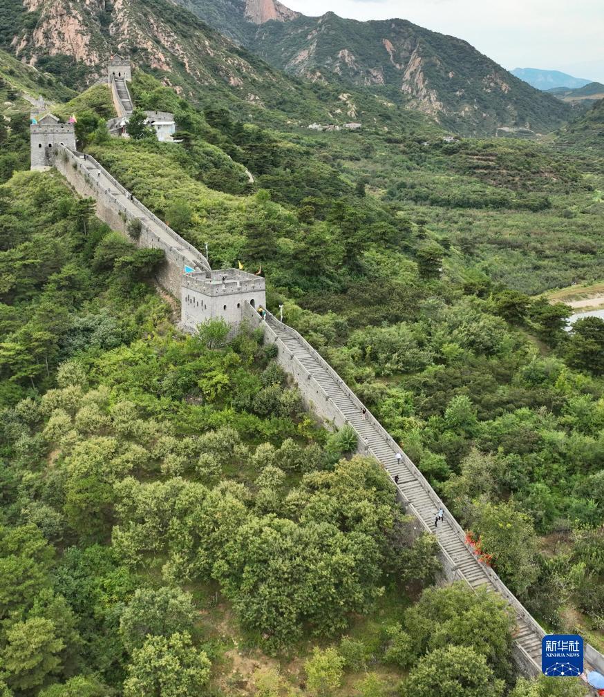 爱博网站app